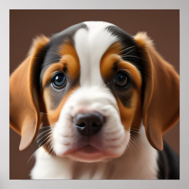Poster Beagle Puppy (Devant)