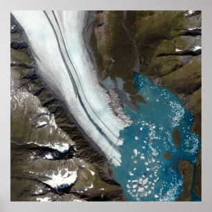 Poster Bear Glacier Alaska