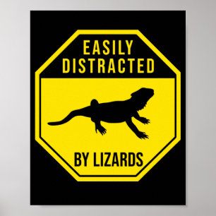 Poster Bearded Dragon Easily Distracted By Lizards