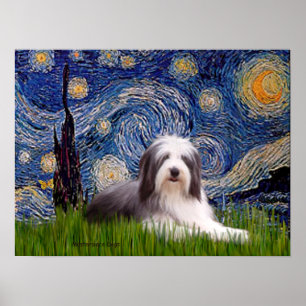 Poster Beardie 2 - Nuit étoilée