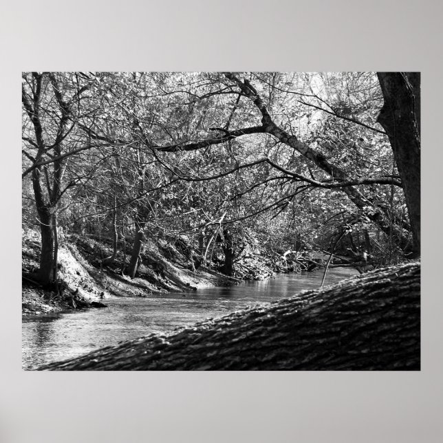 Poster Beargrass Creek (Photographie noir et blanc) (Devant)