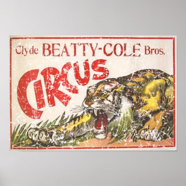 Poster Beatty Cole Circus - 1903 - en détresse (Devant)