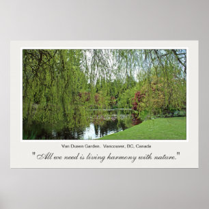 Poster Beau arbre et étang doux et vert de printemps.