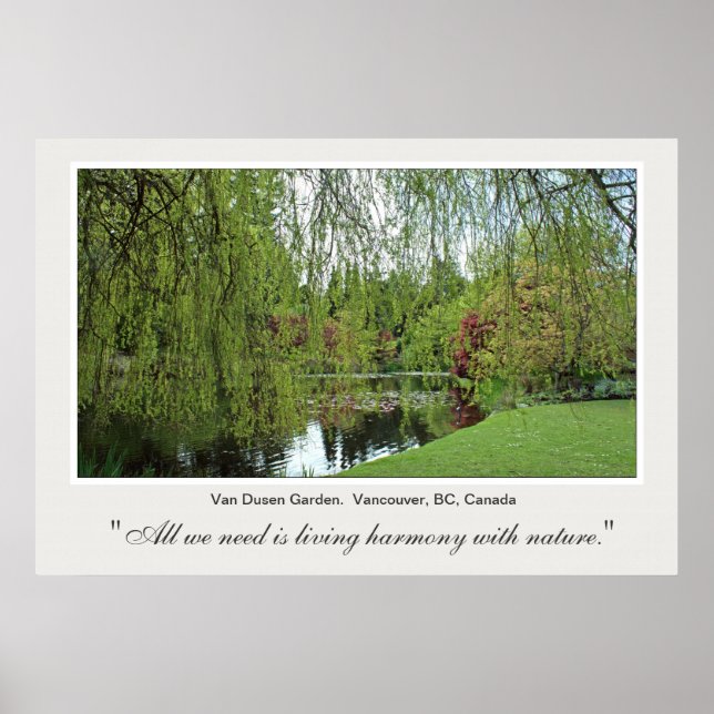Poster Beau arbre et étang doux et vert de printemps. (Devant)