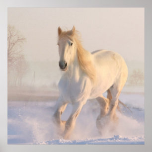 Poster Beau Cheval Blanc Galloping dans la neige