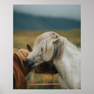 POSTER BEAU CHEVAL COUPLE