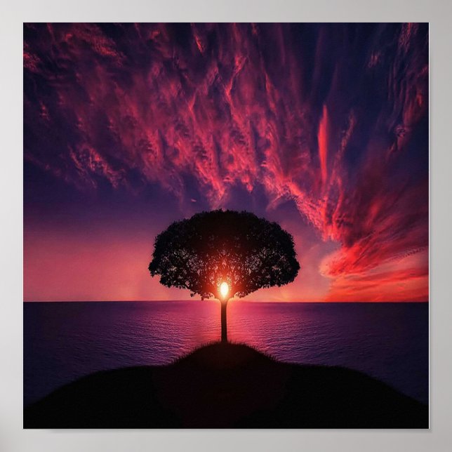 Poster Beau coucher de soleil (Devant)