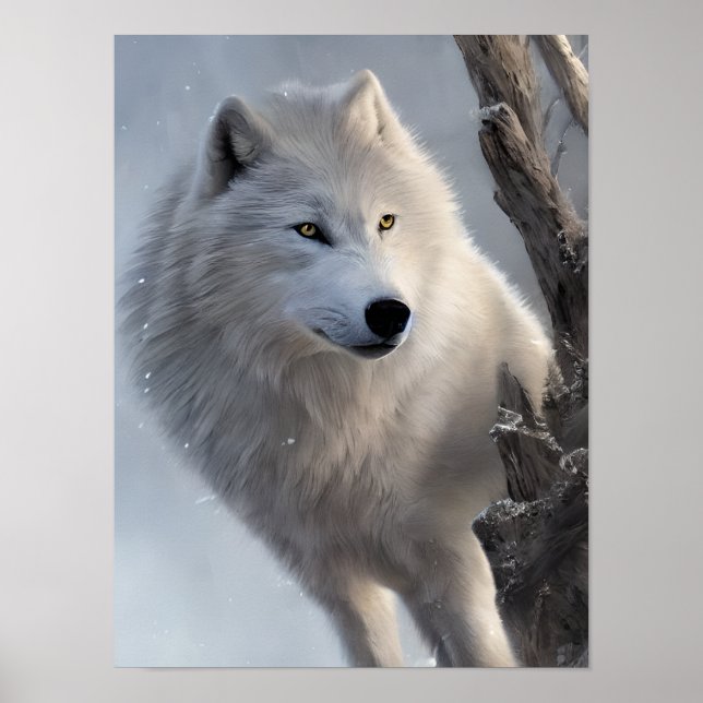 Poster Beau Loup Blanc Art (Devant)