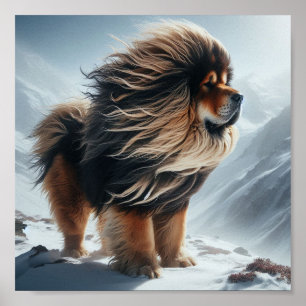 Poster beau Mastiff tibétain