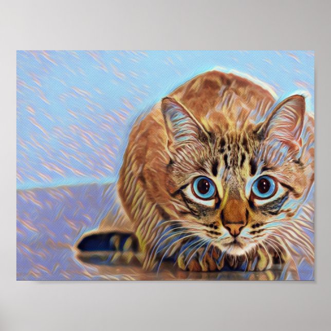 Poster Beau mignon chat yeux bleus (Devant)