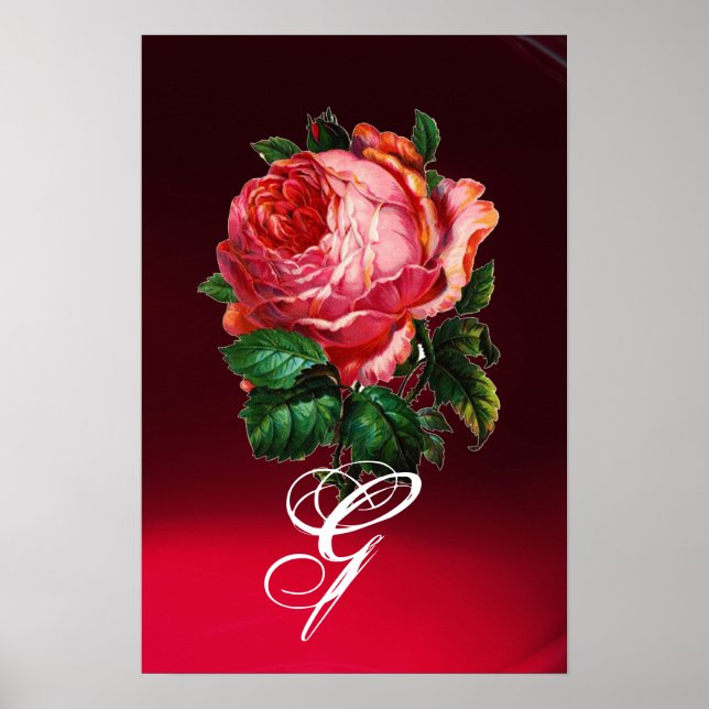 POSTER BEAU MONOGRAMME DE ROSE ROSE (Devant)