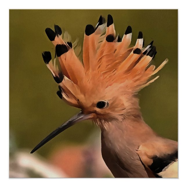 Poster Beau Oiseau De Hoopoe Avec Couronne De Plumes (Devant)