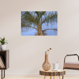 Poster Beau Palmier Gros Plan