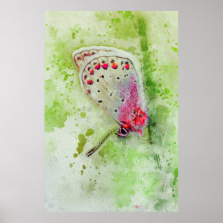 Poster beau papillon blanc sur une peinture à la tige