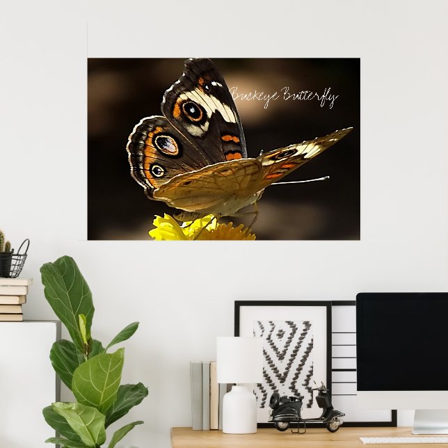 Poster Beau papillon Buckeye sur une Fleur Jaune (Bureau à domicile)