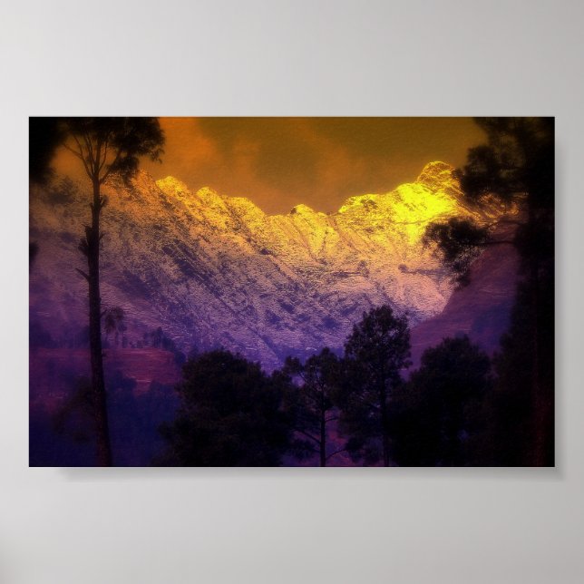 Poster Beau paradis (Devant)