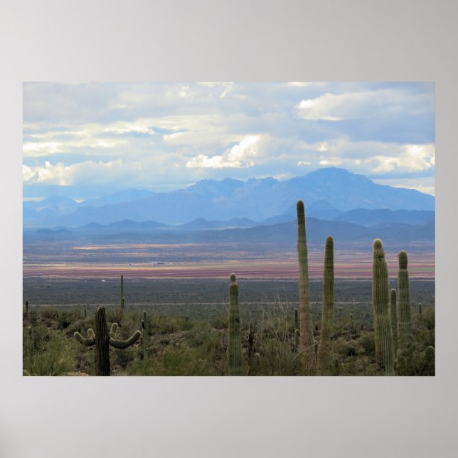Poster Beau paysage de l'Arizona (Devant)