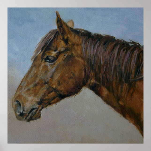 Poster Beau Portrait Brown Horse (Devant)