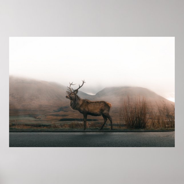 POSTER BEAU RÉINDEUR (Devant)