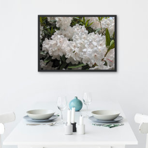 Poster Beau Rhododendron blanc fleurit Floral