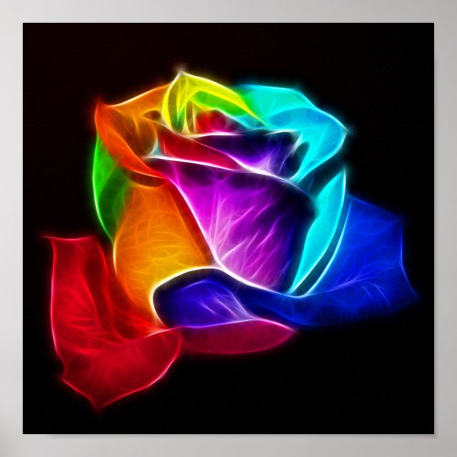 Poster Beau Rose de couleurs 5 (Devant)