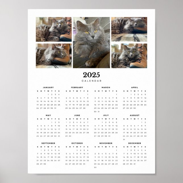 Poster Beau Russe Bleu Nebelung Cat 2025 Calendrier (Devant)