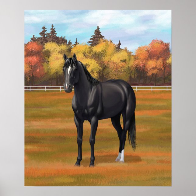 Poster Beau Stallion Cheval du Quartier Noir (Devant)