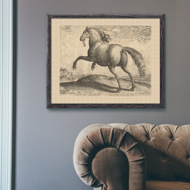 Poster Beau Stallion espagnol antique élégant (Créateur téléchargé)