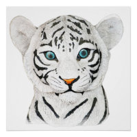 Beau Tigre Blanc Avec Yeux Bleus
