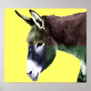 Poster Beaucoup de couleurs Burro