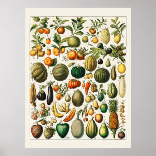 Poster Beaucoup de fruits