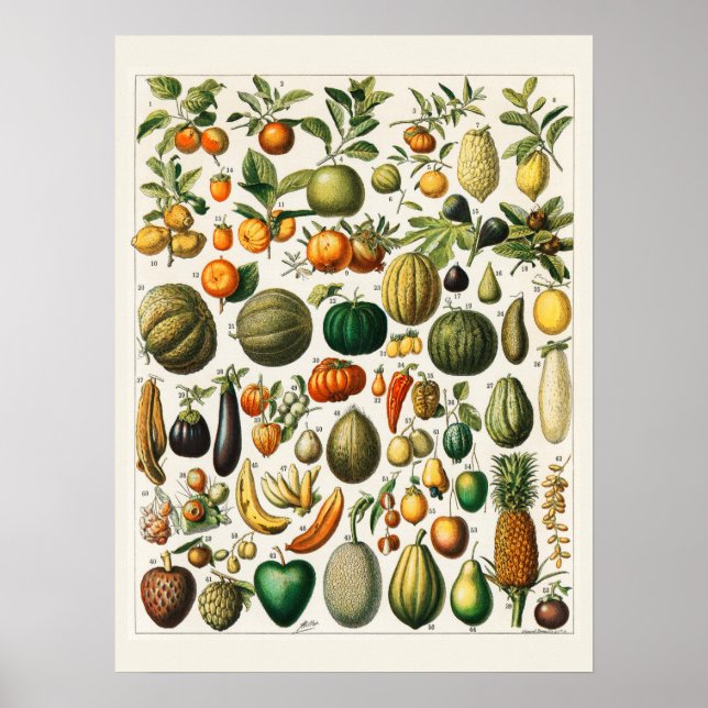 Poster Beaucoup de fruits (Devant)