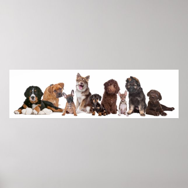 Poster Beaucoup De Marionnettes (Devant)