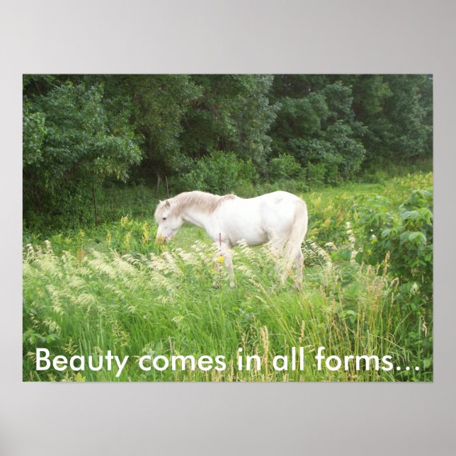 Poster Beauté (Devant)