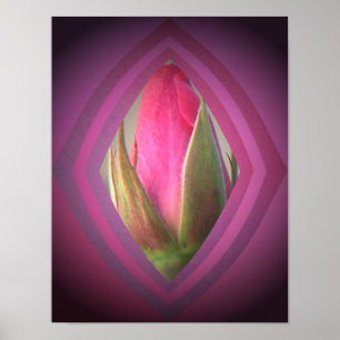 Poster Beauté dans les ombres