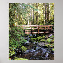 Beauté de la luxure // Eaux paisibles