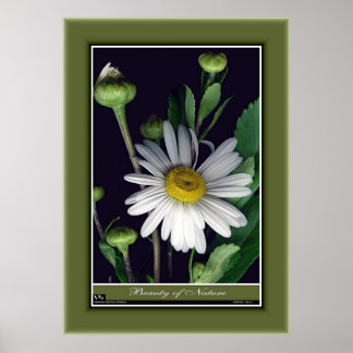 Poster Beauté de la nature r/p12