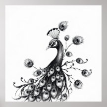 Beauté de Regal : Peacock Charcoal Art