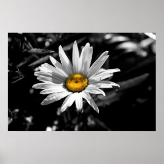 Poster Beauté d'été