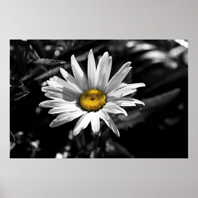 Poster Beauté d'été (Devant)