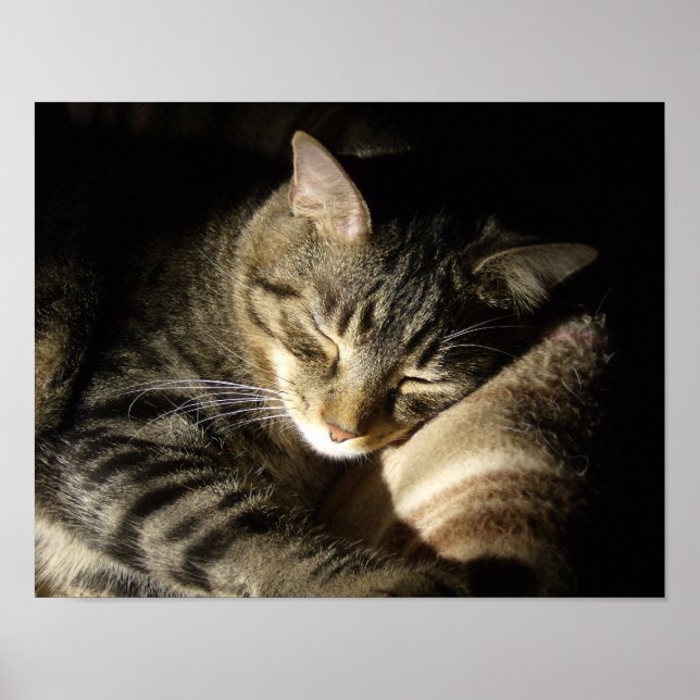 Poster Beauté dormante (Devant)