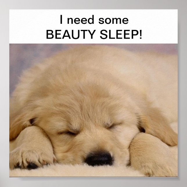 POSTER BEAUTÉ DORMIÈRE (Devant)