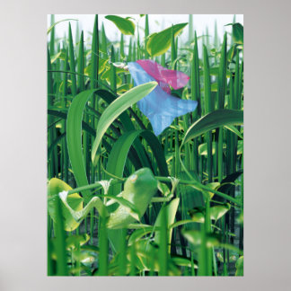 Poster Beauté et bêtes