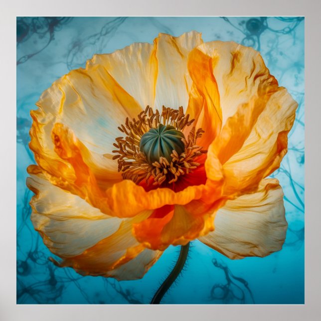 Poster Beauté Orange  (Devant)