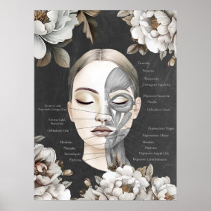 Poster Beauté Salon Muscle facial Anatomie Décor