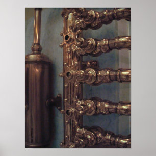 Poster Beautés de cuivre