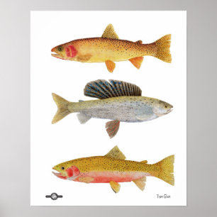 Poster Beautés du Montana