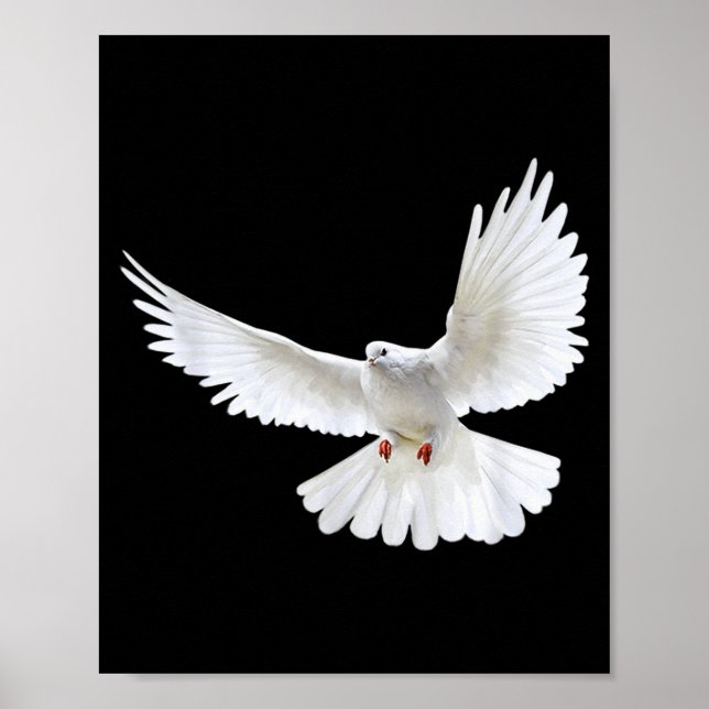 Poster Beautiful Flying Peaceful White Dove Photo Silhoue (Devant)