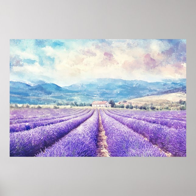 Poster Beautiful lavender fields (Devant)