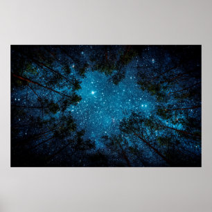 Poster Beautiful night sky, Milky Way and the trees. 